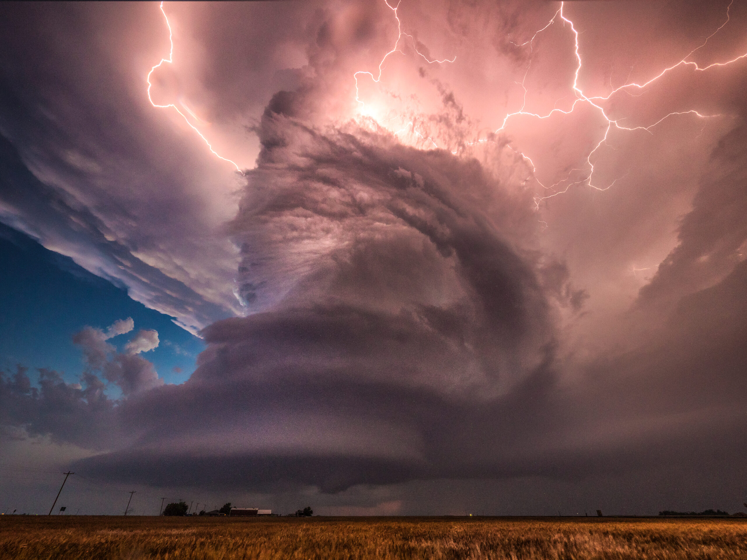 Girls Who Chase in the field